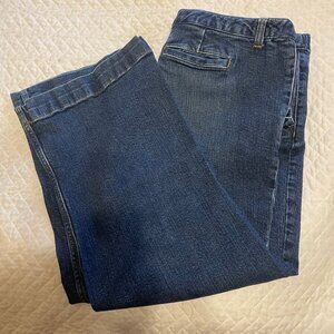Lands End Size 16P (NWOT), Original Fit, Comfort Waist Jeans. (J003)